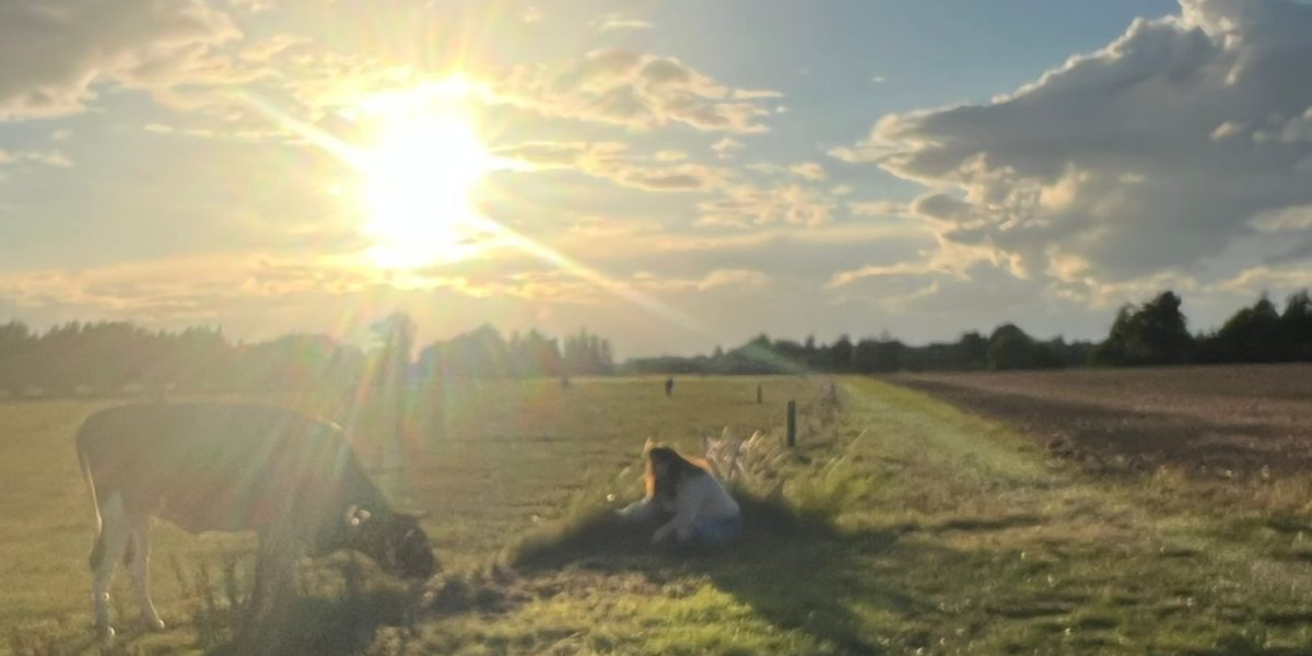 IMG-20250914-WA0027(1)